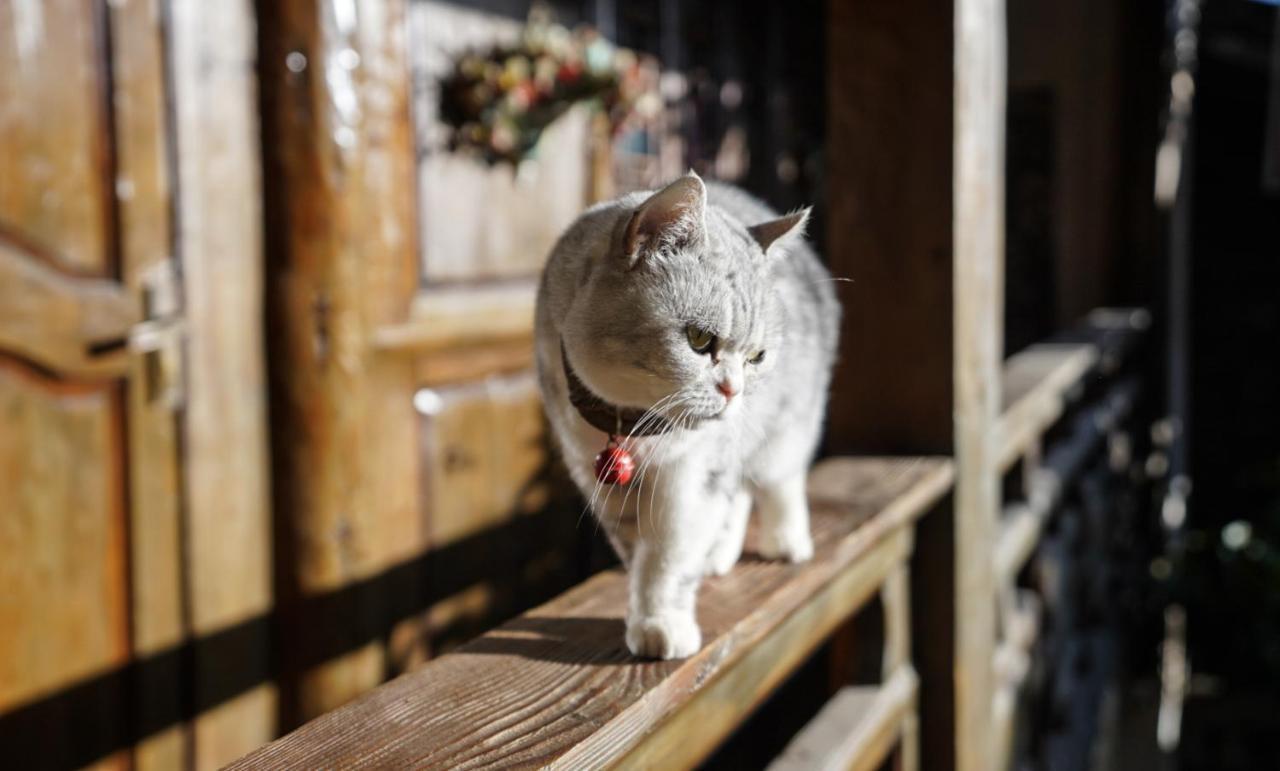 Appartamento Lv Ye An Jia 绿野安家 Lijiang  Esterno foto