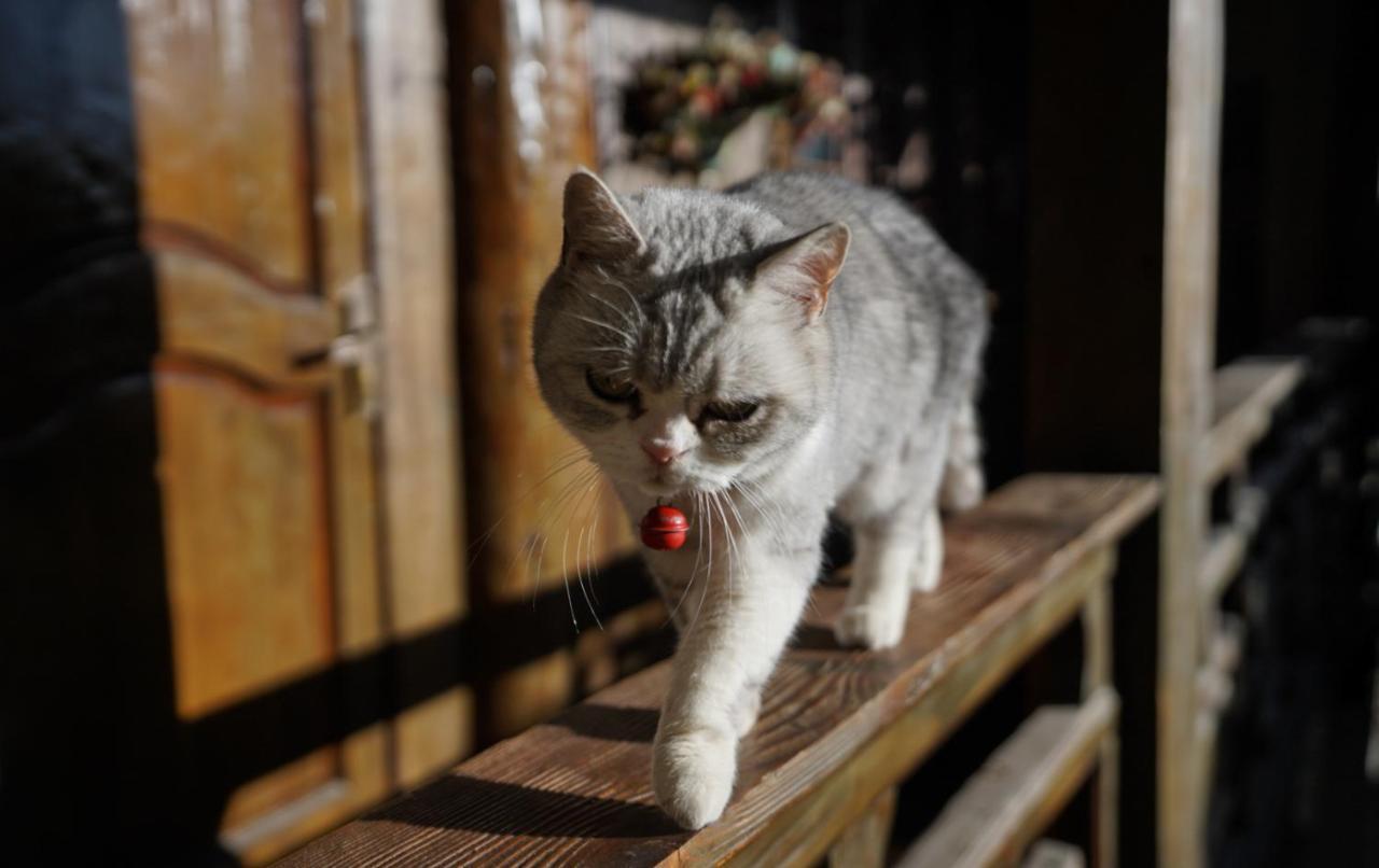 Appartamento Lv Ye An Jia 绿野安家 Lijiang  Esterno foto